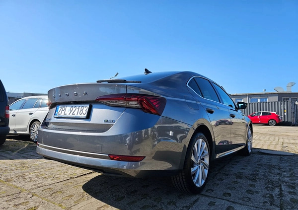 Skoda Octavia cena 134999 przebieg: 7170, rok produkcji 2023 z Brwinów małe 301